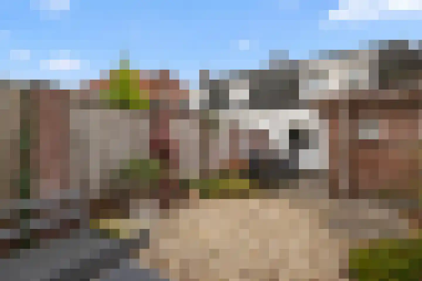 Beelmanstraat 15 Valkenswaard thumbnail 38