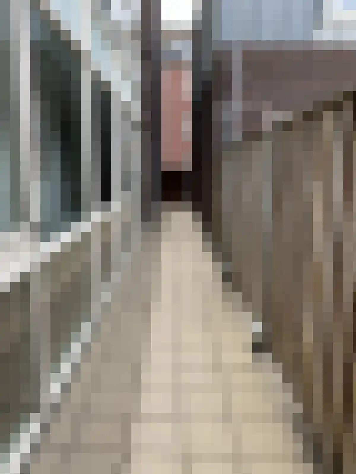 Beelmanstraat 27 Valkenswaard thumbnail 4