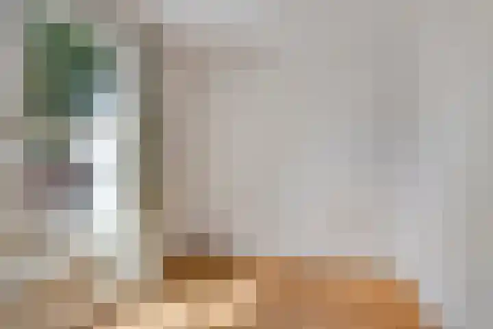 Beelmanstraat 28 Valkenswaard thumbnail 12