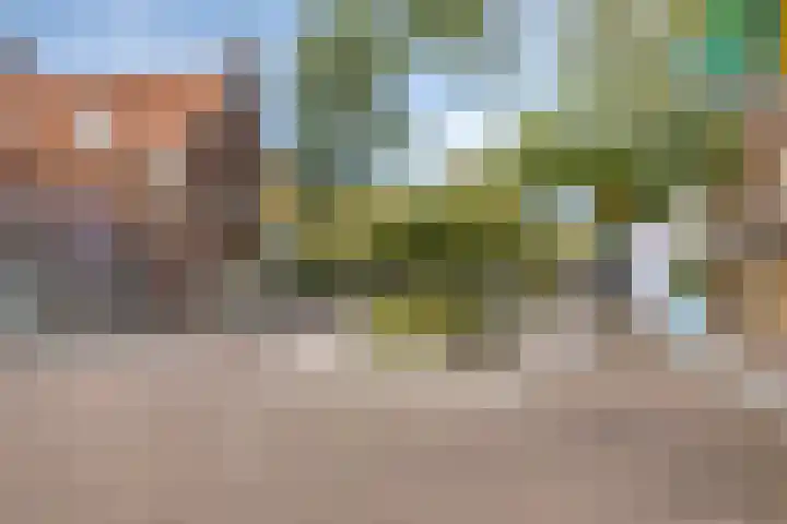 Beelmanstraat 28 Valkenswaard thumbnail 22