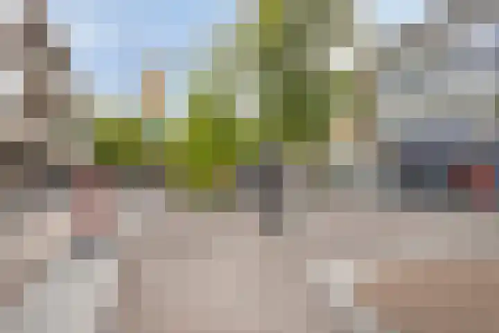 Beelmanstraat 28 Valkenswaard thumbnail 23