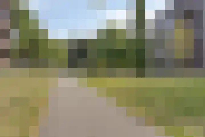 Beelmanstraat 28 Valkenswaard thumbnail 24