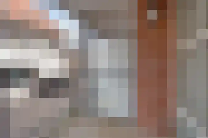 Beelmanstraat 28 Valkenswaard thumbnail 9