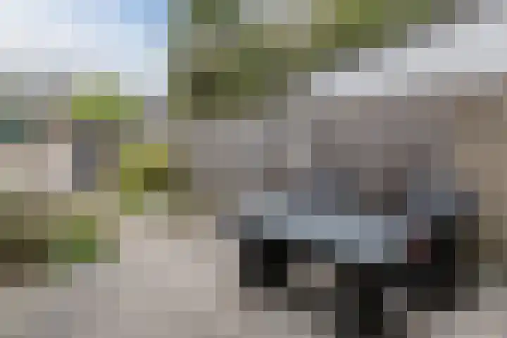 Beelstraat 11 Rijen thumbnail 19