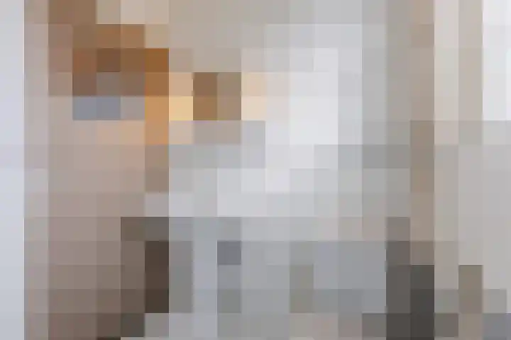 Beelstraat 11 Rijen thumbnail 35