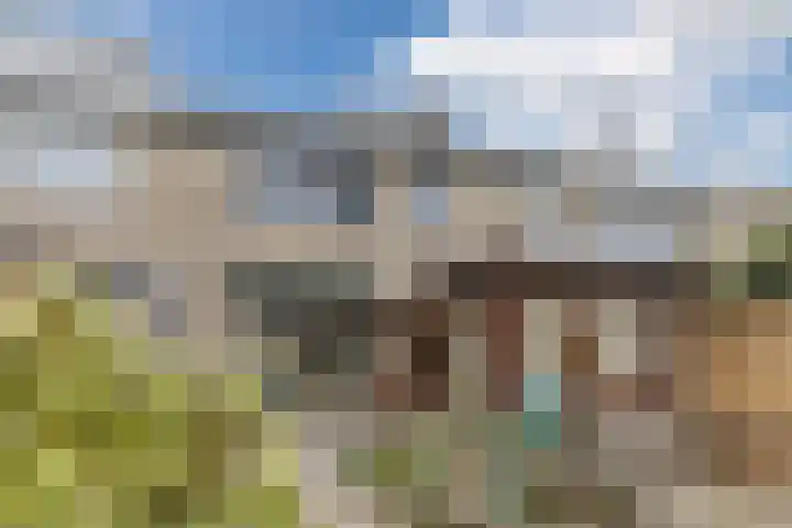 Beelstraat 11 Rijen thumbnail 4