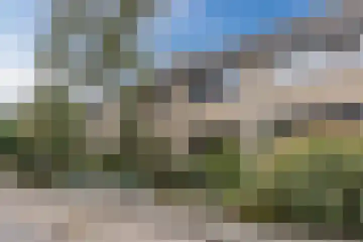 Beelstraat 11 Rijen thumbnail 6