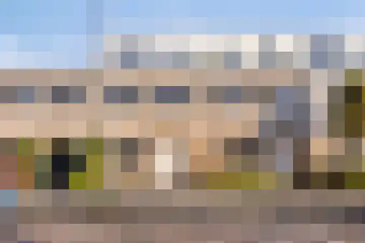 Beelstraat 14 Rotterdam thumbnail 5