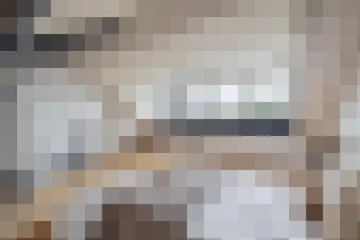 Beelstraat 32 Zwolle thumbnail 25