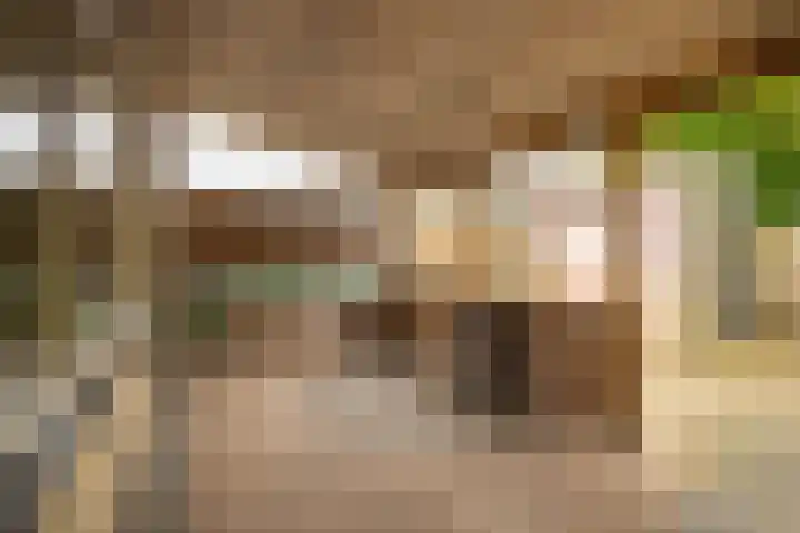 Beelstraat 32 Zwolle thumbnail 27