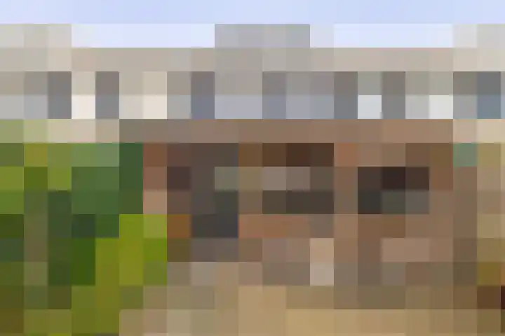 Beelstraat 32 Zwolle thumbnail 30