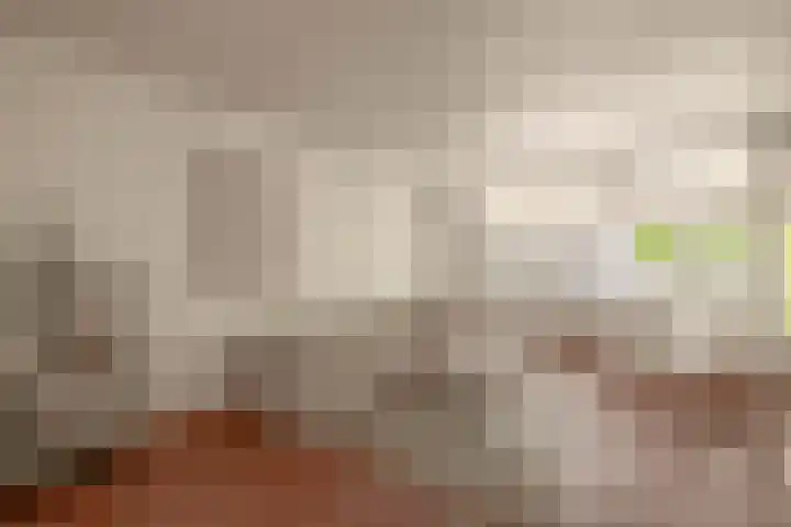 Beelstraat 32 Zwolle thumbnail 6