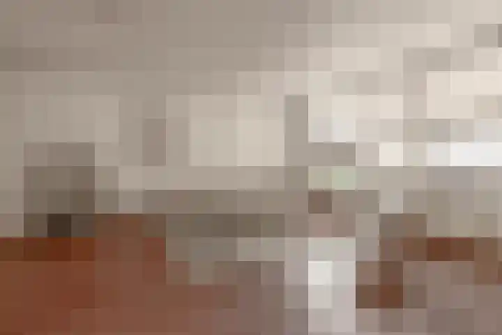 Beelstraat 32 Zwolle thumbnail 9