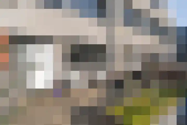 Beelstraat 33 Zwolle thumbnail 39