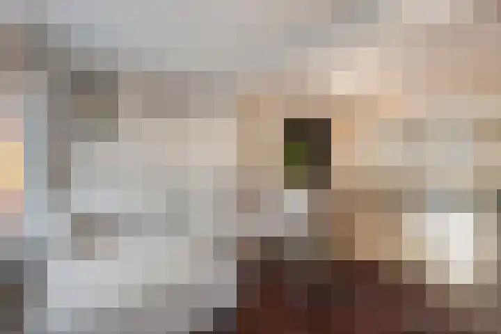 Beelstraat 33 Zwolle thumbnail 7