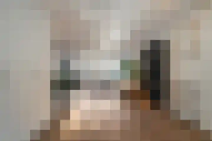 Beelstraat 33 Zwolle thumbnail 9