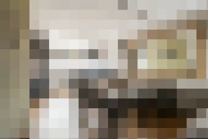 Beelstraat 5 Zwolle thumbnail 8