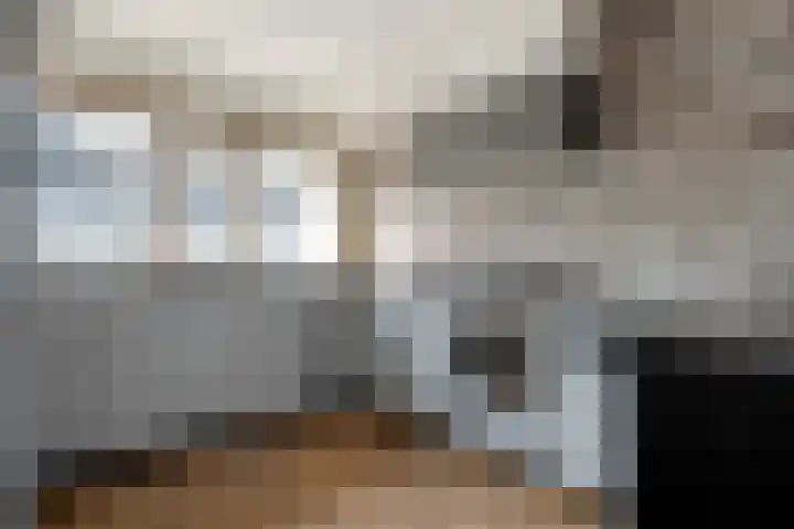 Beelstraat 5 Zwolle thumbnail 9