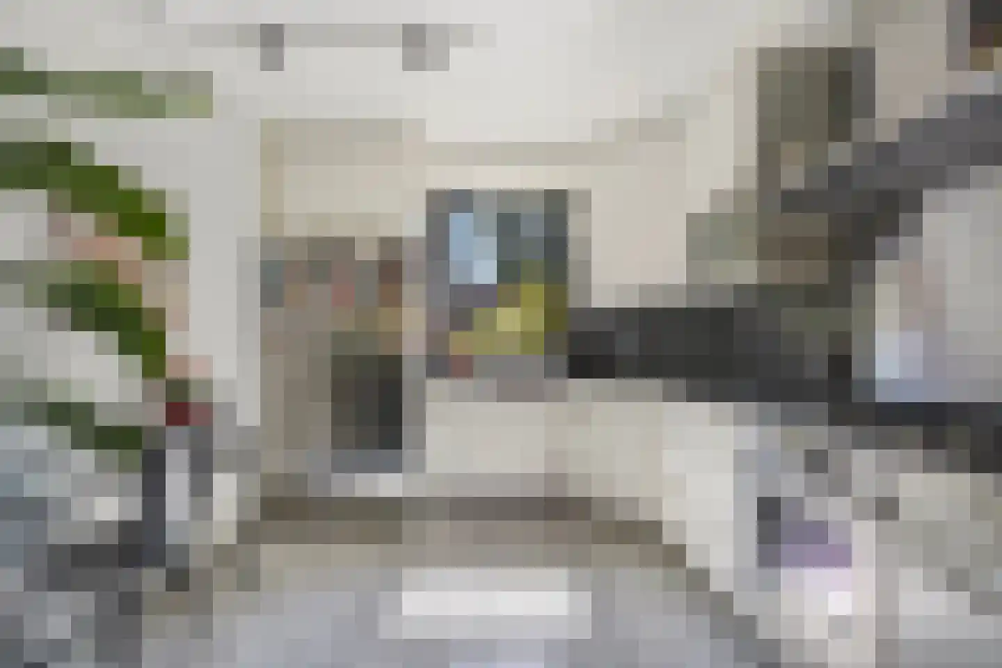 Beelstraat 50 Naaldwijk thumbnail 12