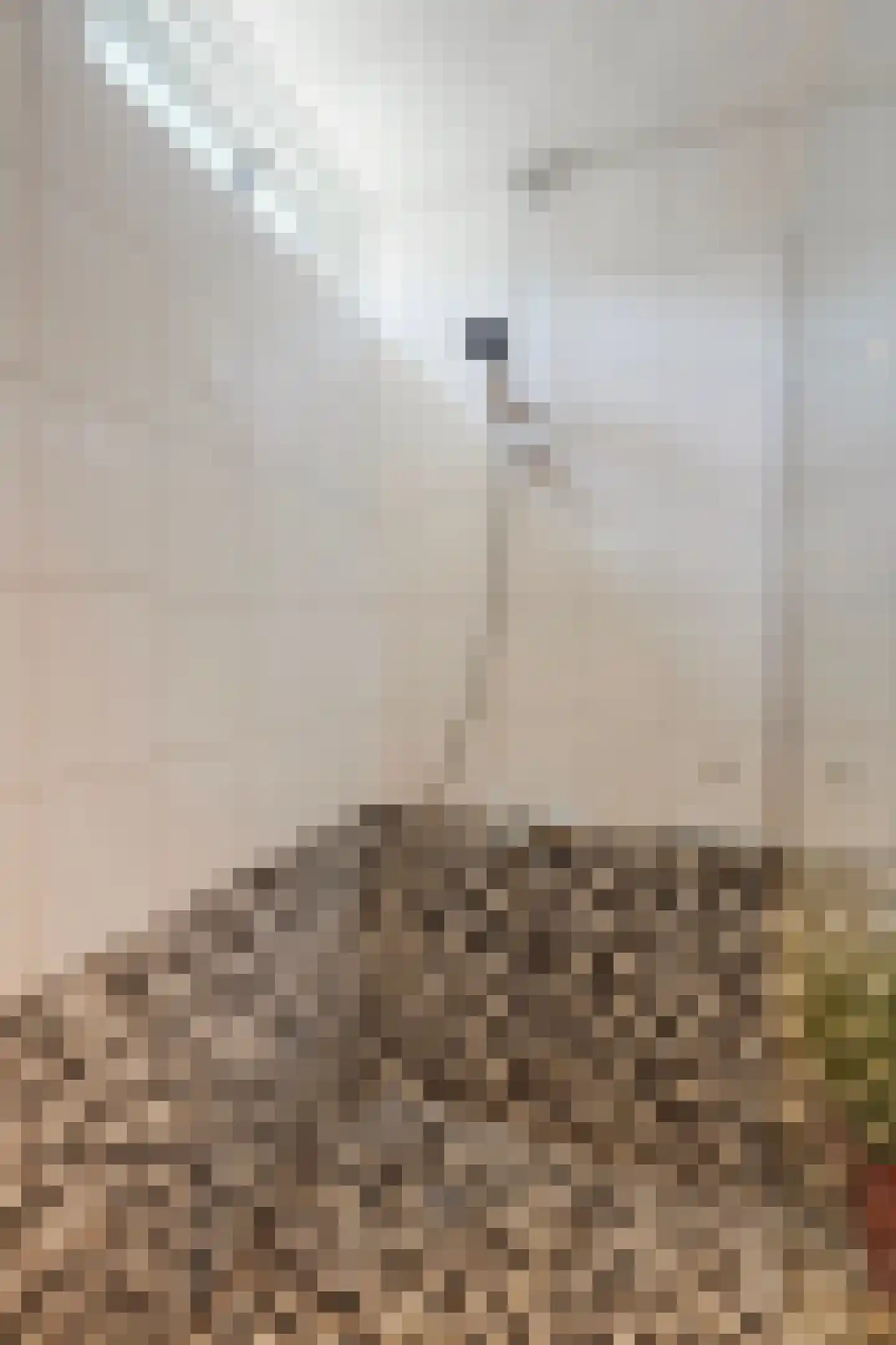 Beelstraat 50 Naaldwijk thumbnail 34