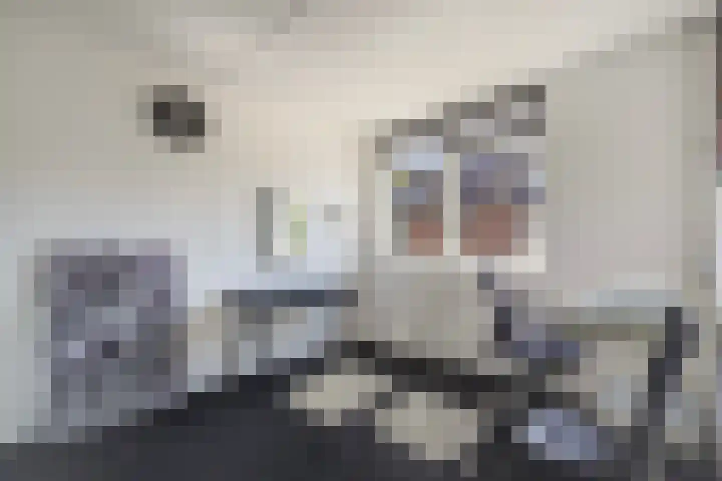 Beelstraat 50 Naaldwijk thumbnail 35