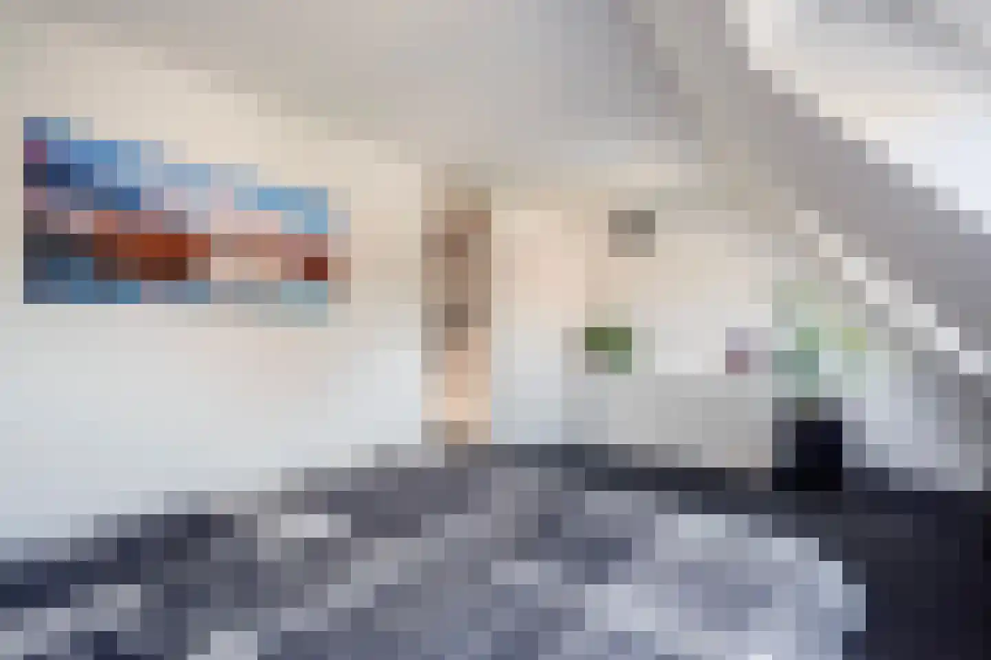 Beelstraat 50 Naaldwijk thumbnail 40