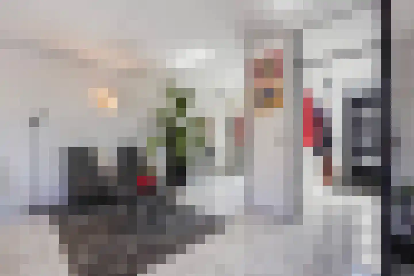 Beelstraat 50 Naaldwijk thumbnail 9