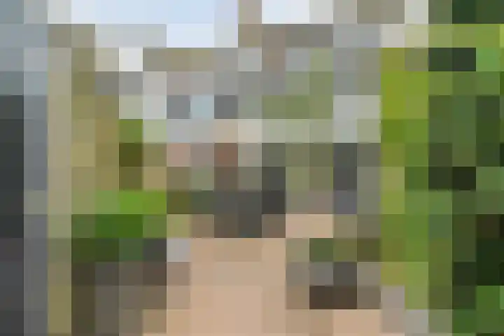 Beelstraat 57 Zwolle thumbnail 36