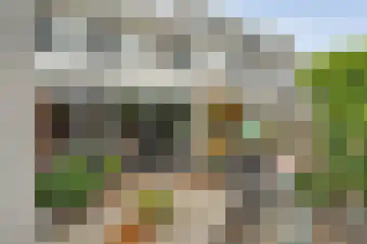 Beelstraat 57 Zwolle thumbnail 37