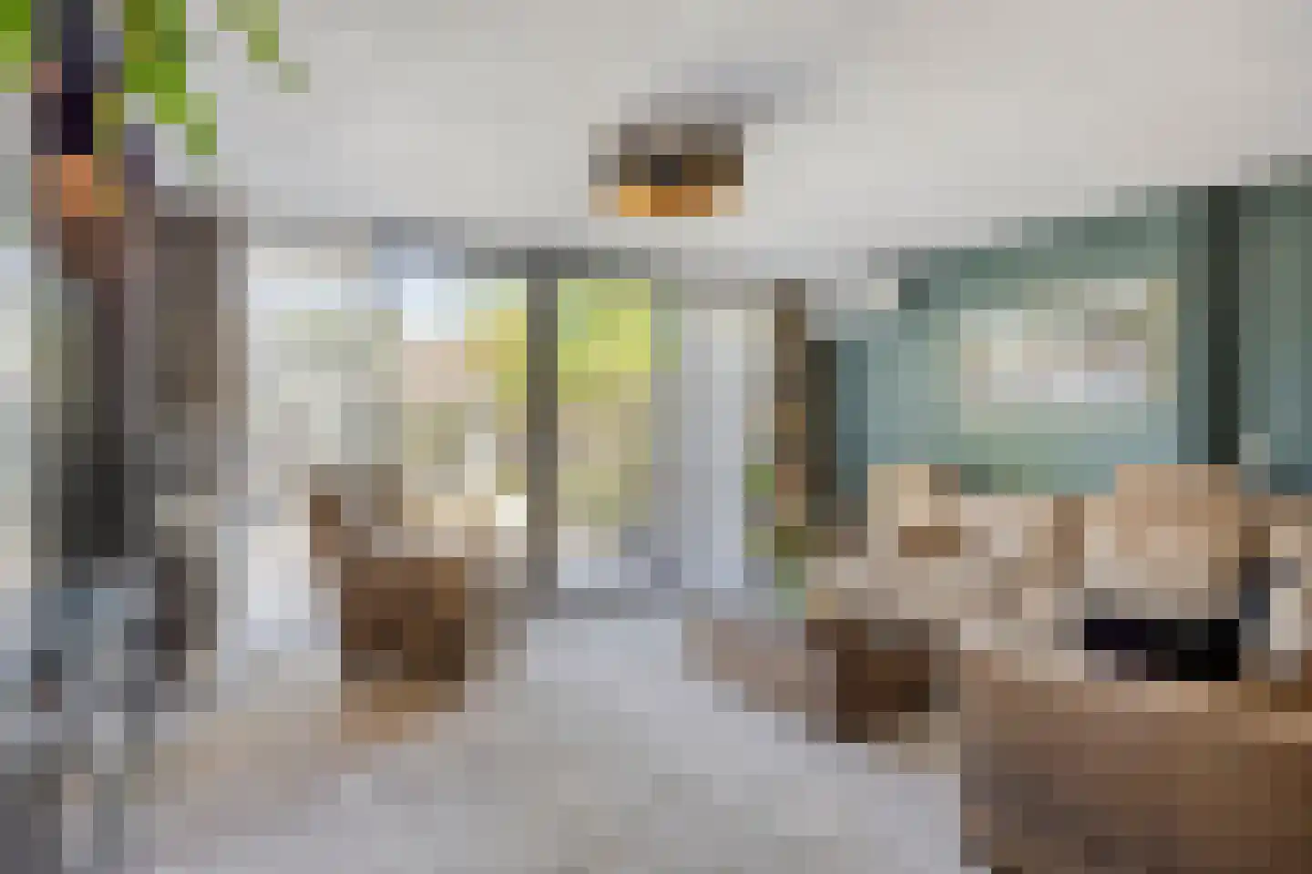Beelstraat 65 Naaldwijk thumbnail 11