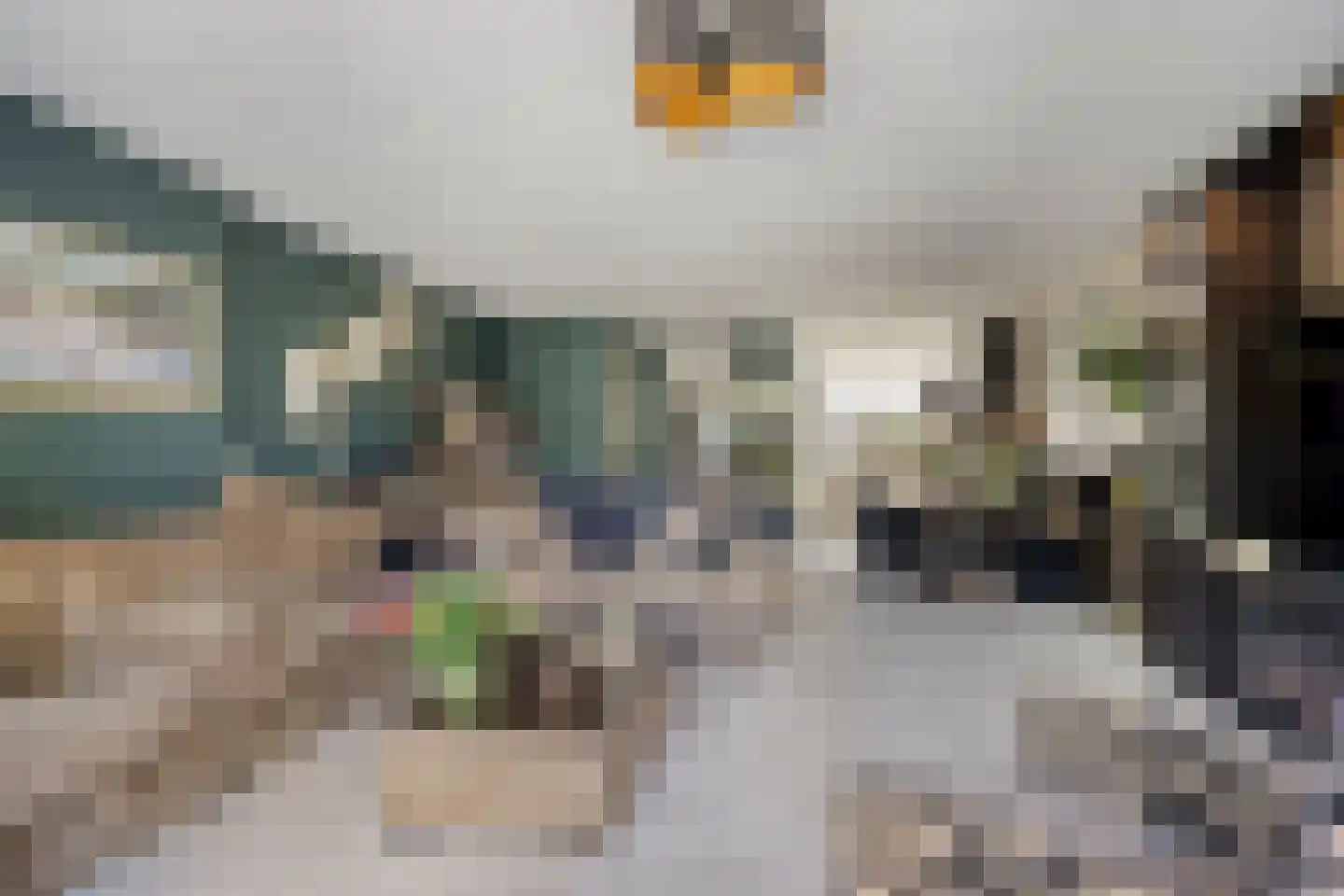 Beelstraat 65 Naaldwijk thumbnail 12