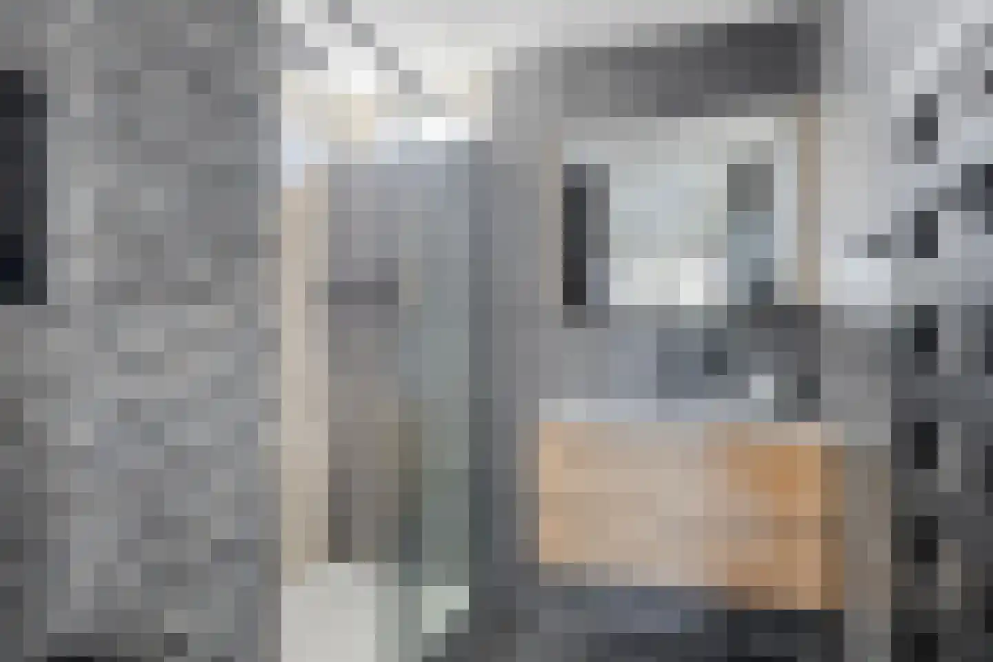 Beelstraat 65 Naaldwijk thumbnail 28