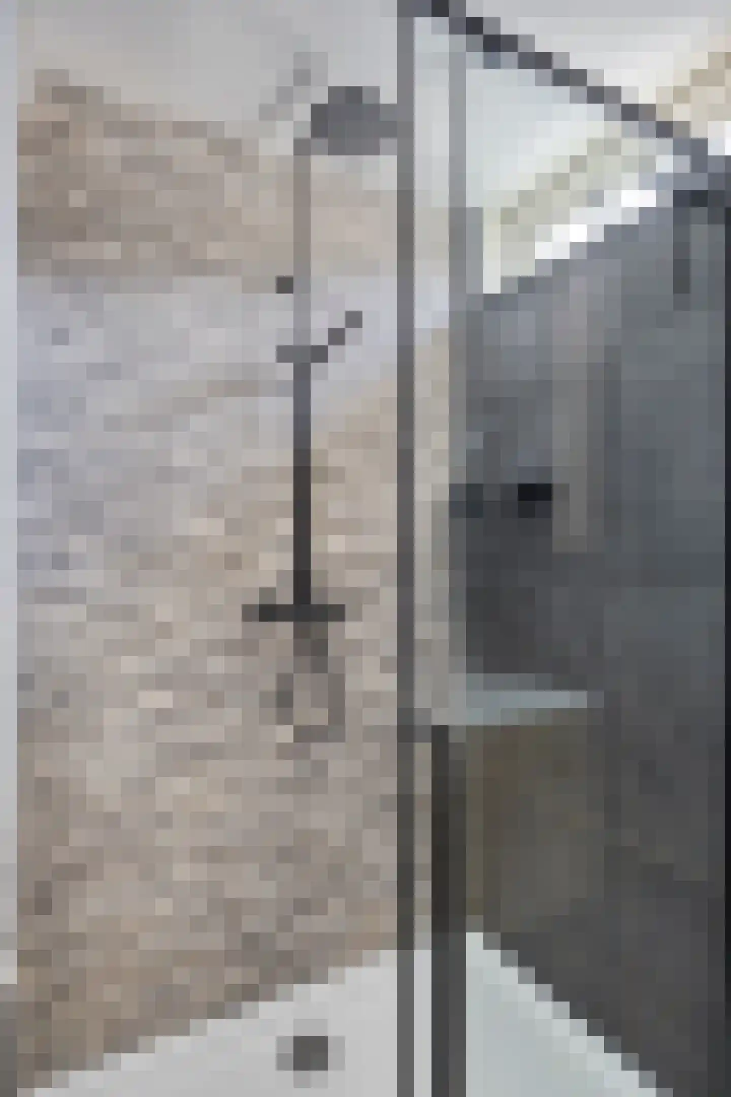 Beelstraat 65 Naaldwijk thumbnail 30