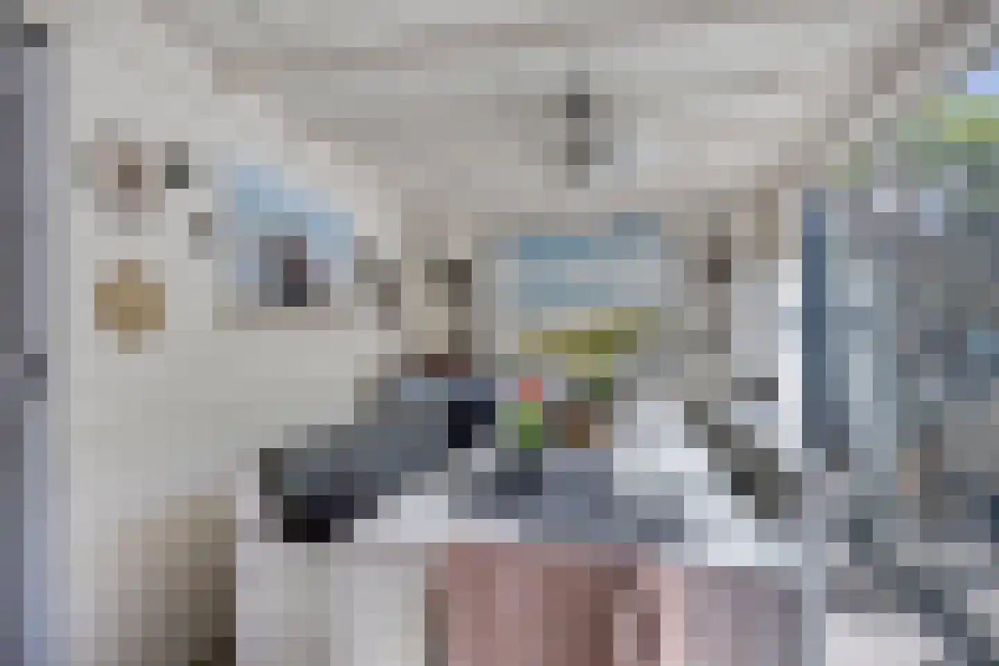 Beelstraat 65 Naaldwijk thumbnail 39