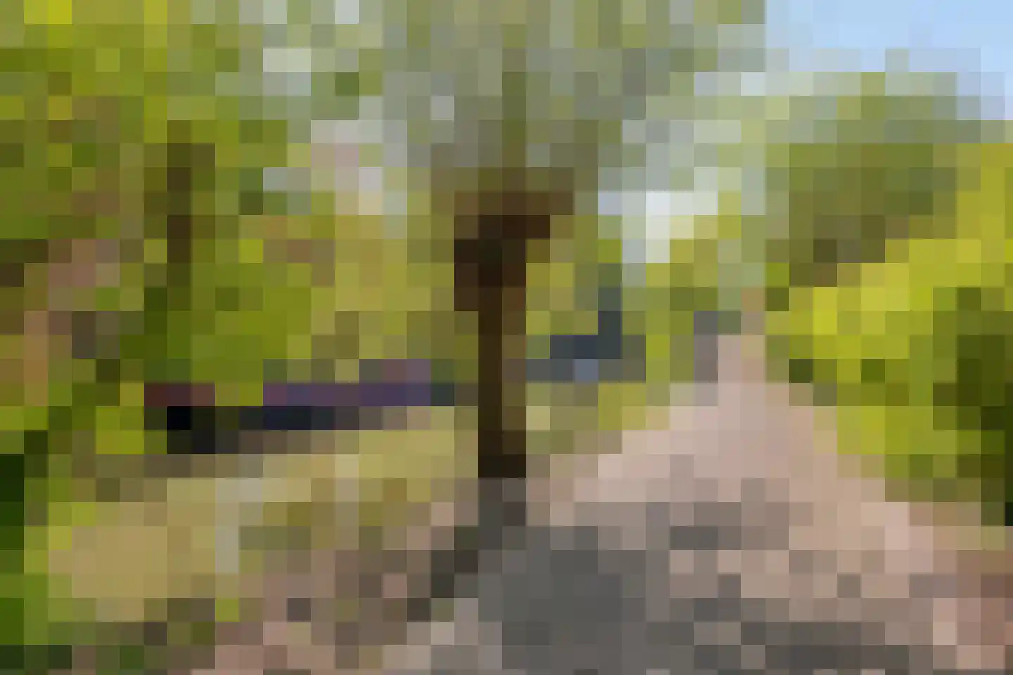 Beelstraat 65 Naaldwijk thumbnail 44