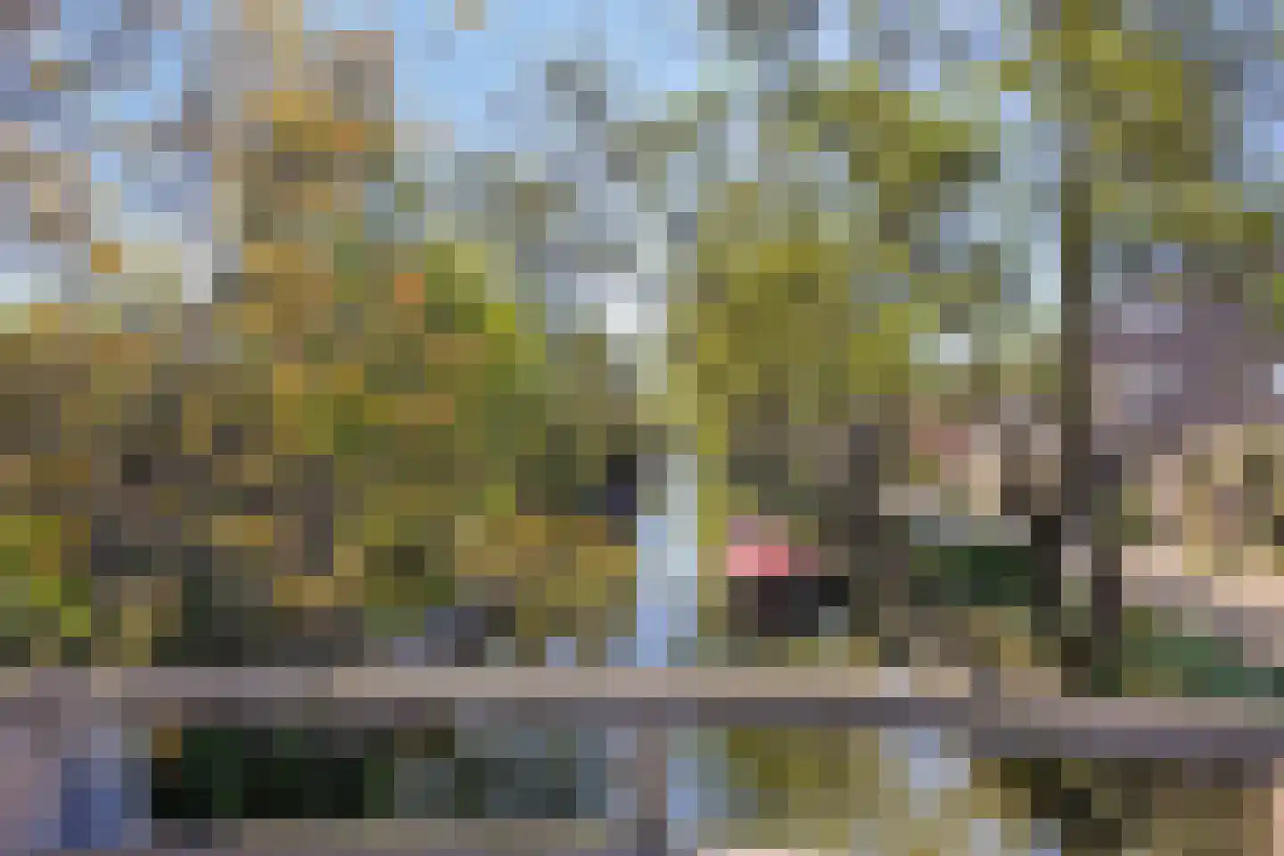 Beelstraat 65 Naaldwijk thumbnail 45