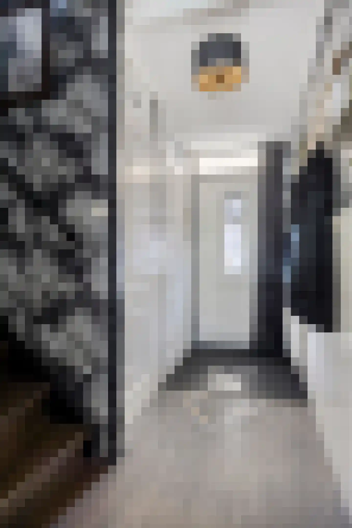 Beelstraat 65 Naaldwijk thumbnail 8