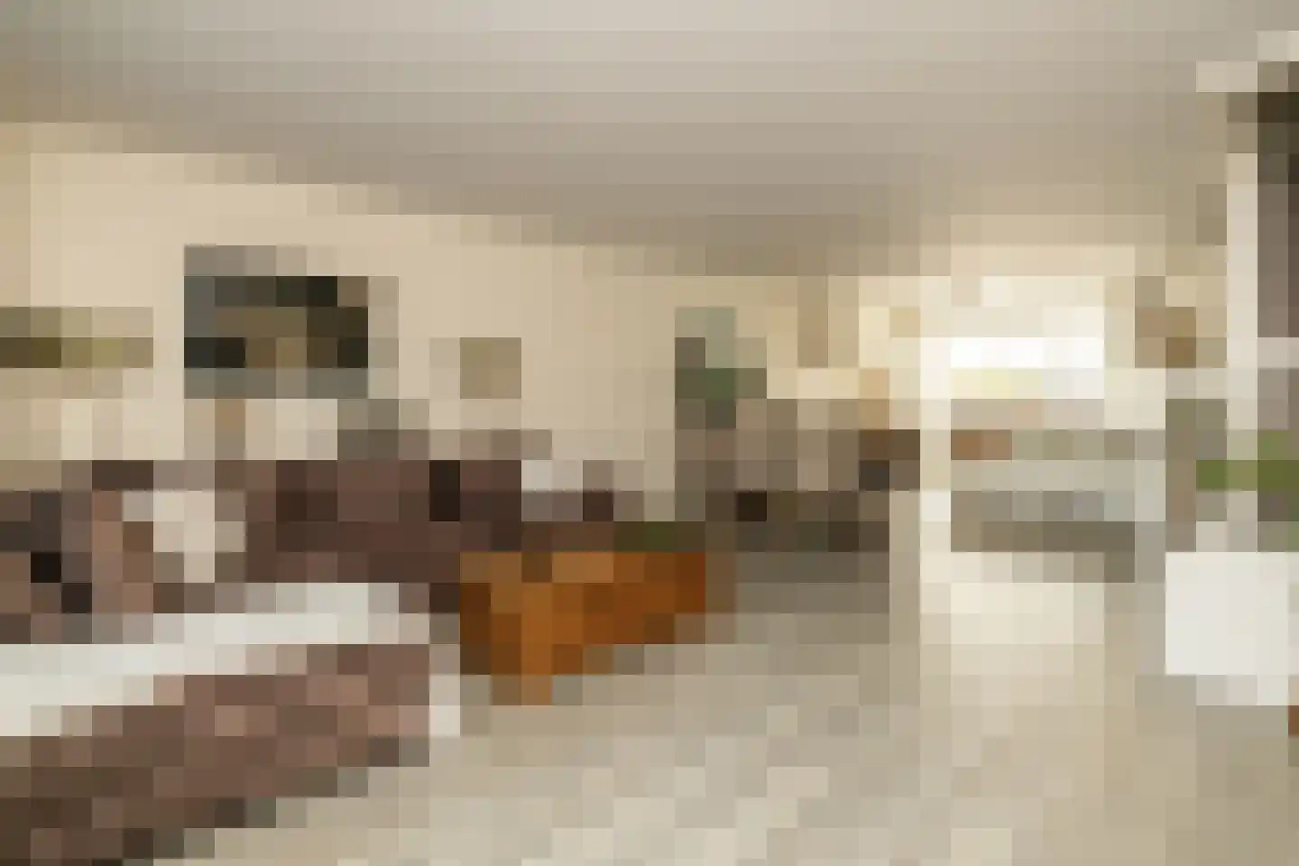 Beelstraat 75 Naaldwijk thumbnail 10