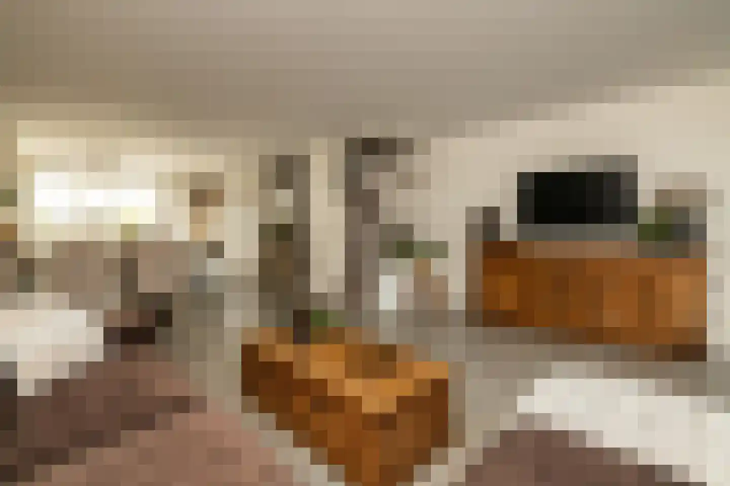 Beelstraat 75 Naaldwijk thumbnail 11