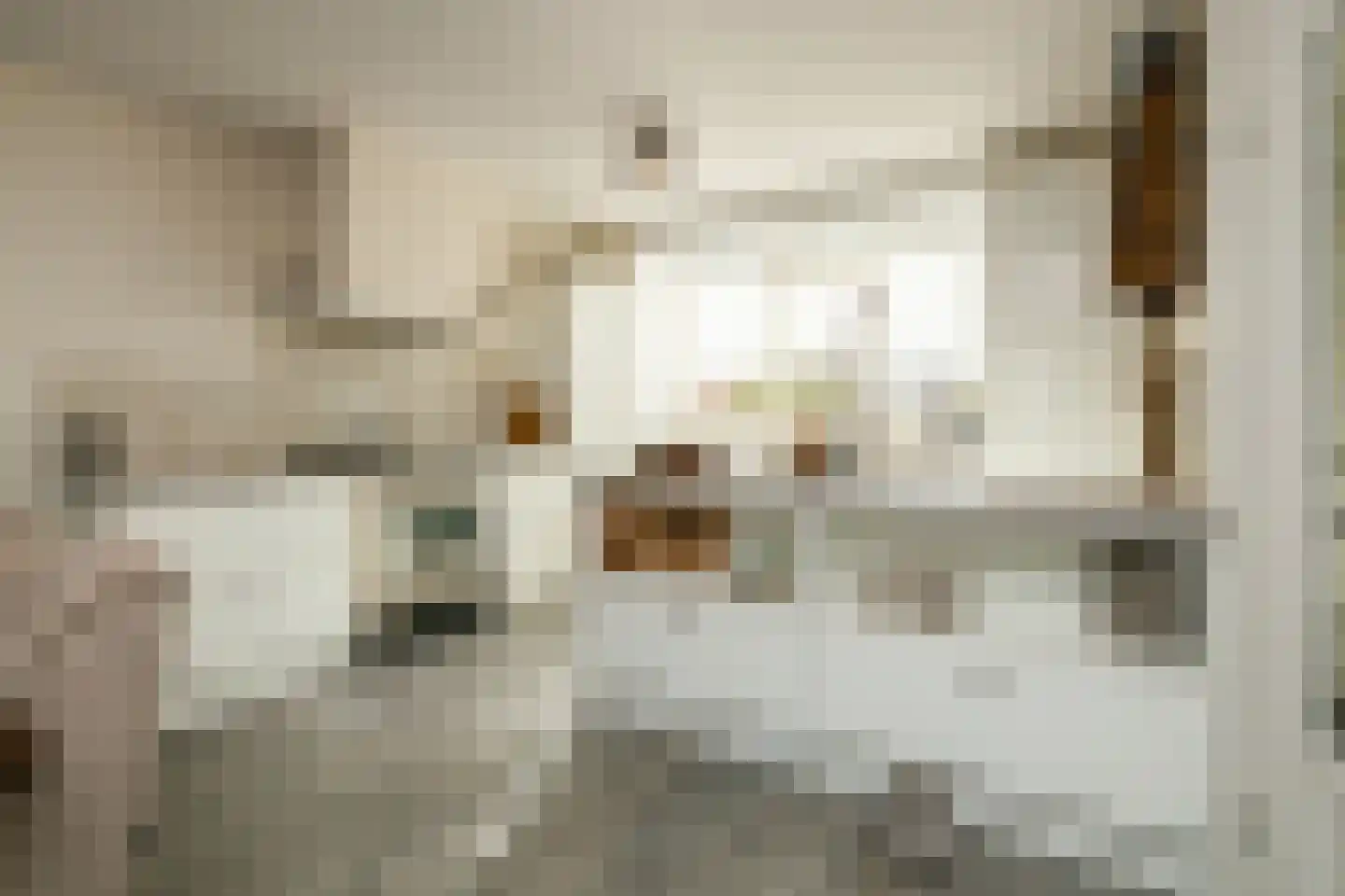 Beelstraat 75 Naaldwijk thumbnail 15