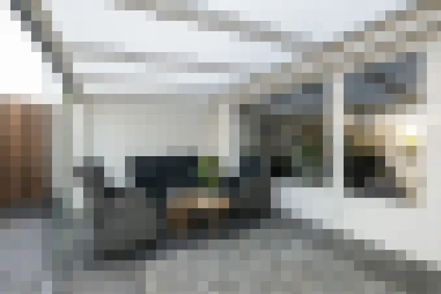 Beelstraat 75 Naaldwijk thumbnail 21