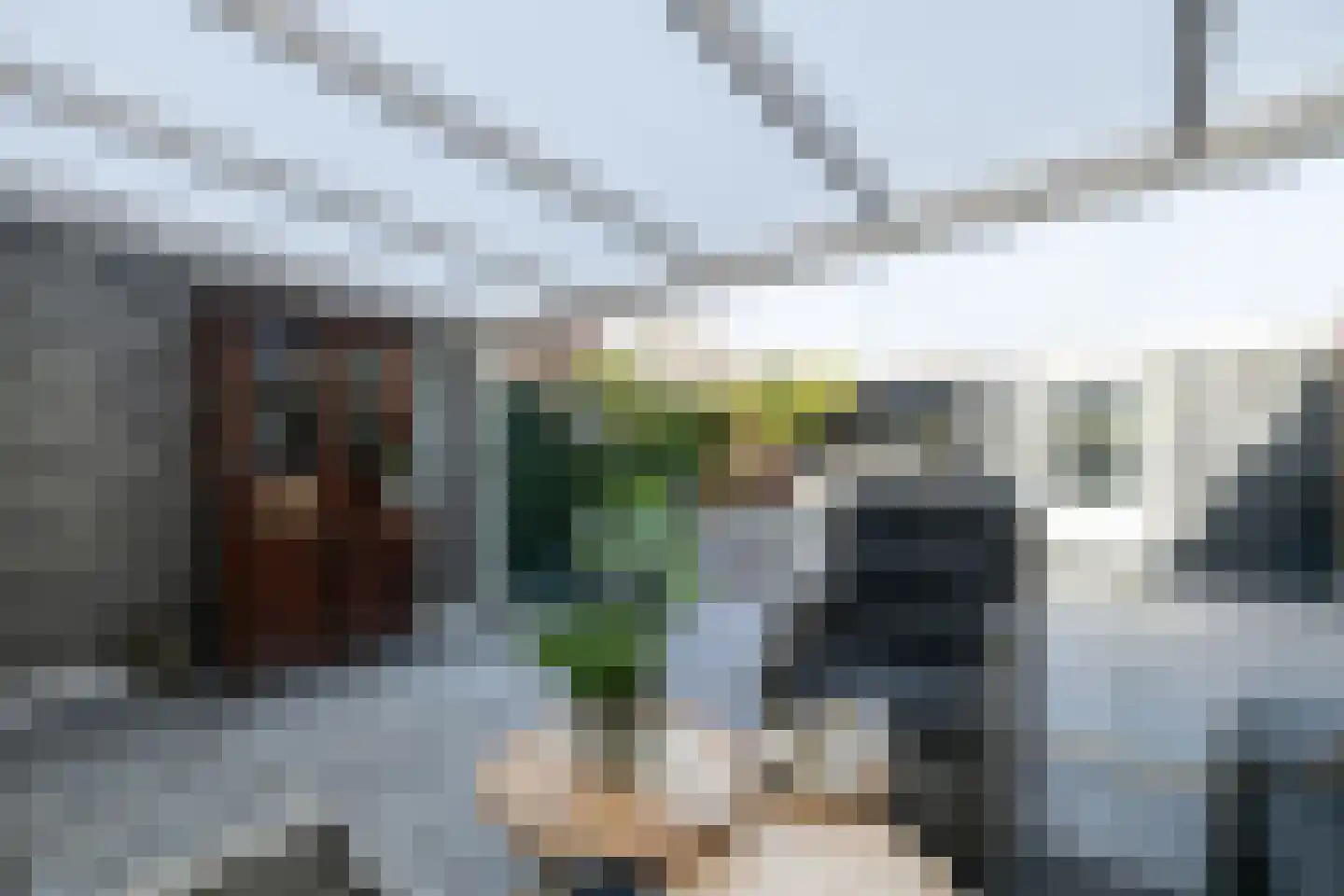 Beelstraat 75 Naaldwijk thumbnail 22
