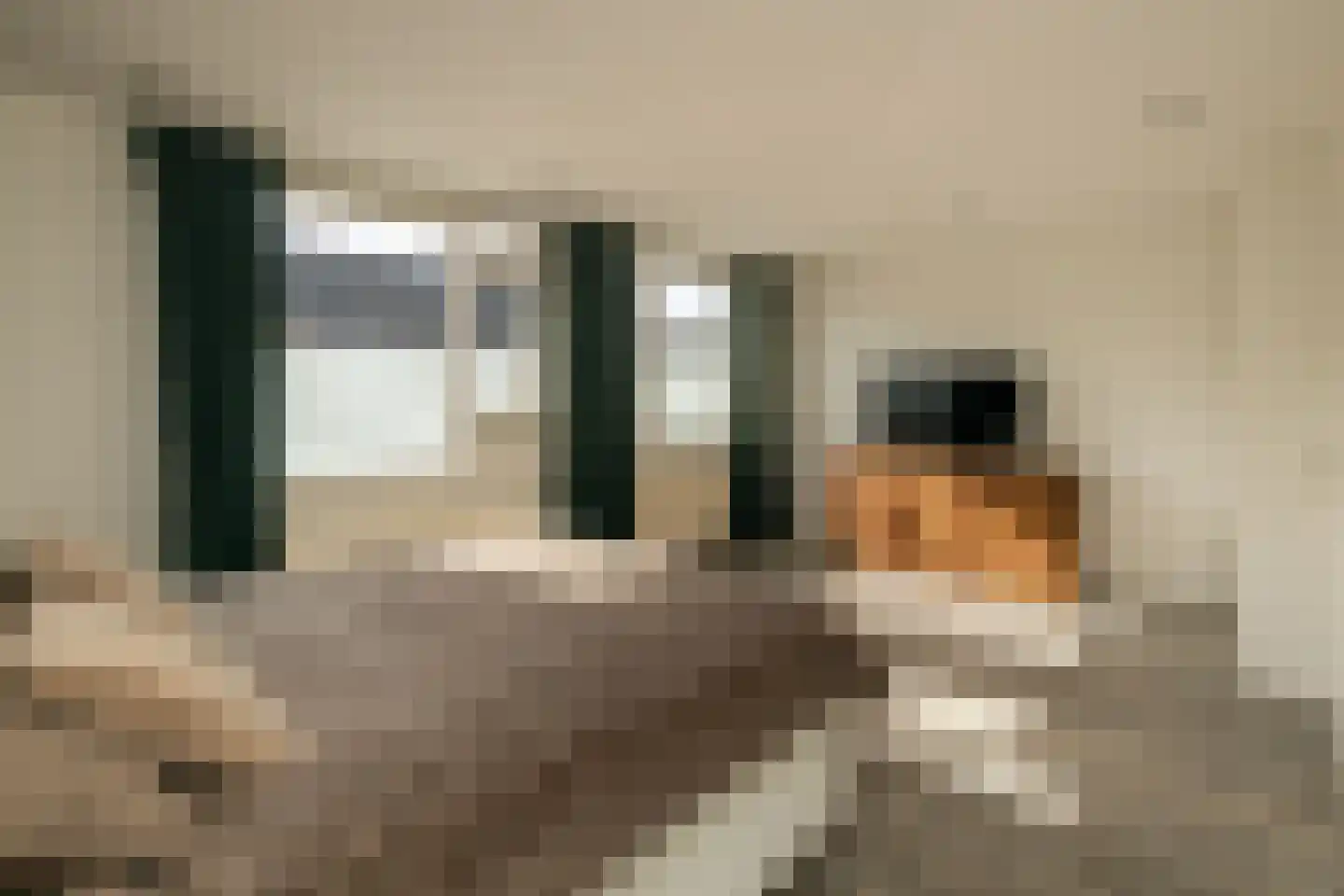 Beelstraat 75 Naaldwijk thumbnail 24