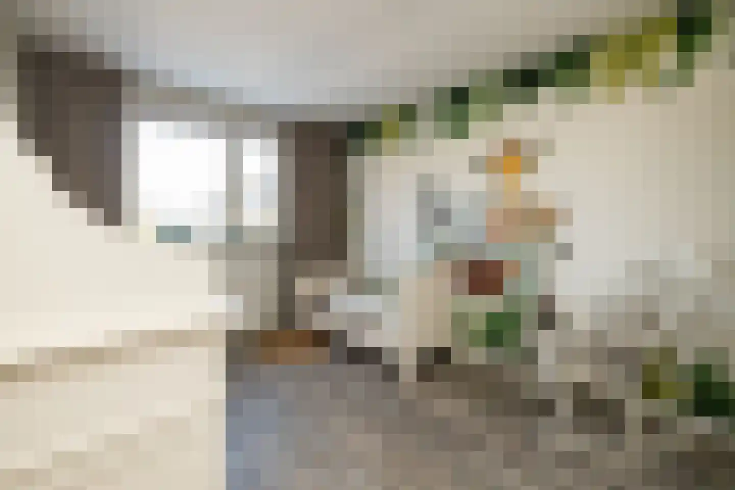 Beelstraat 75 Naaldwijk thumbnail 29