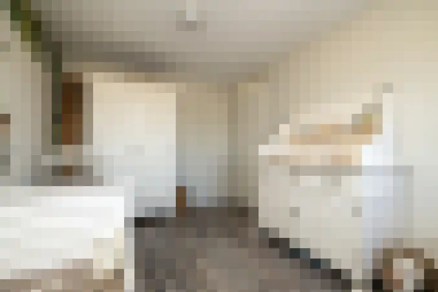 Beelstraat 75 Naaldwijk thumbnail 30