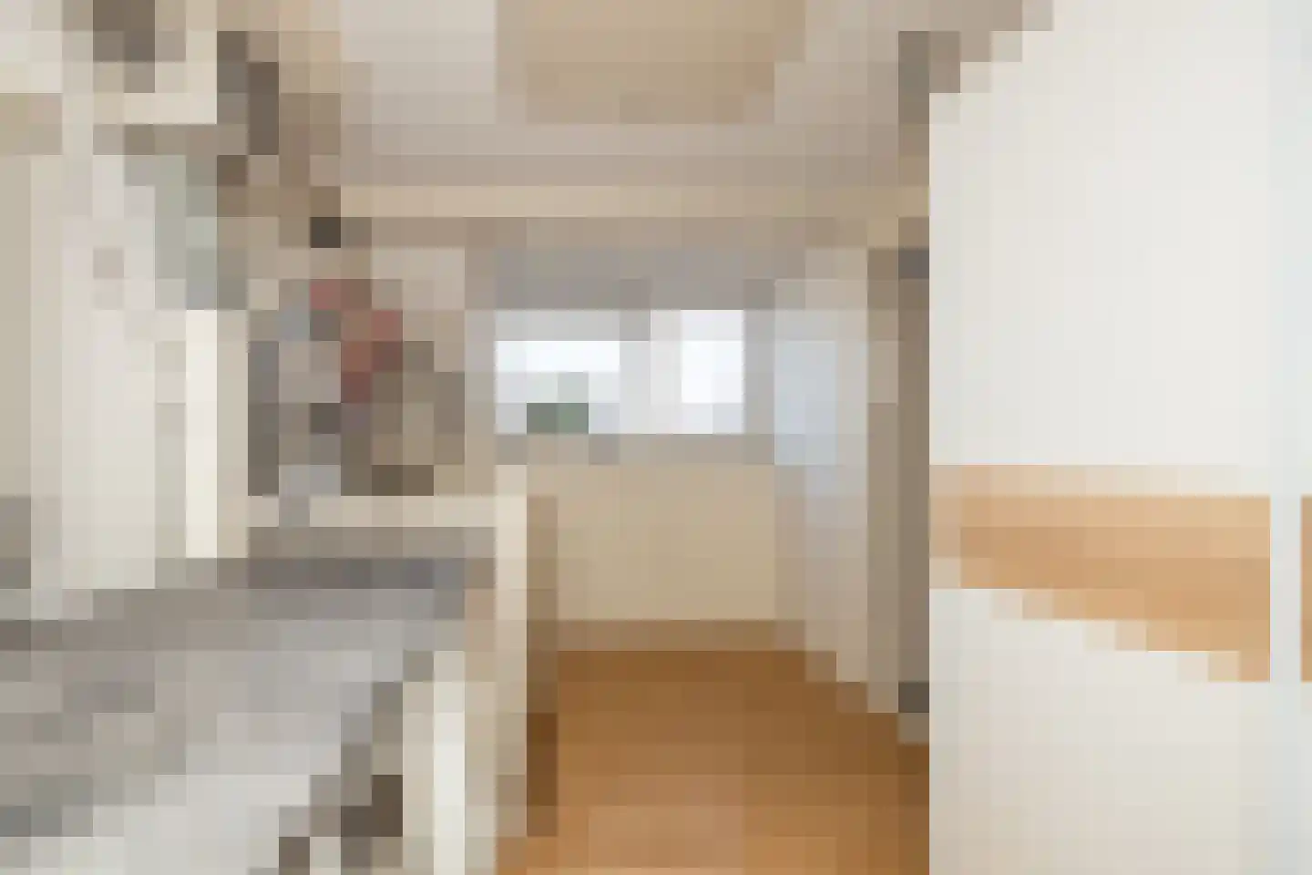 Beelstraat 75 Naaldwijk thumbnail 31