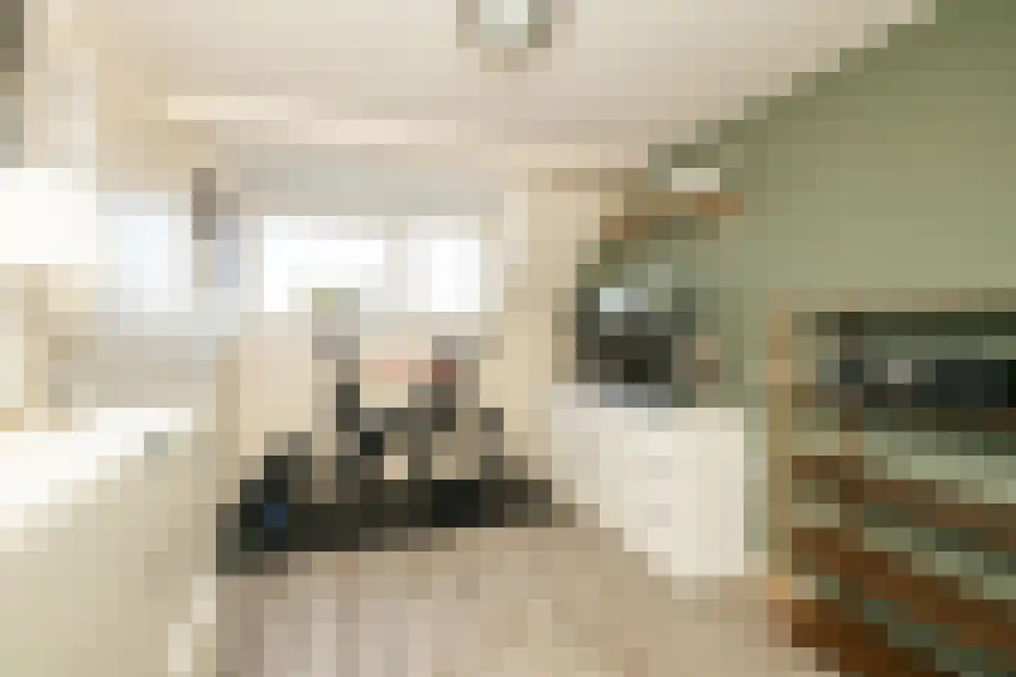 Beelstraat 75 Naaldwijk thumbnail 32
