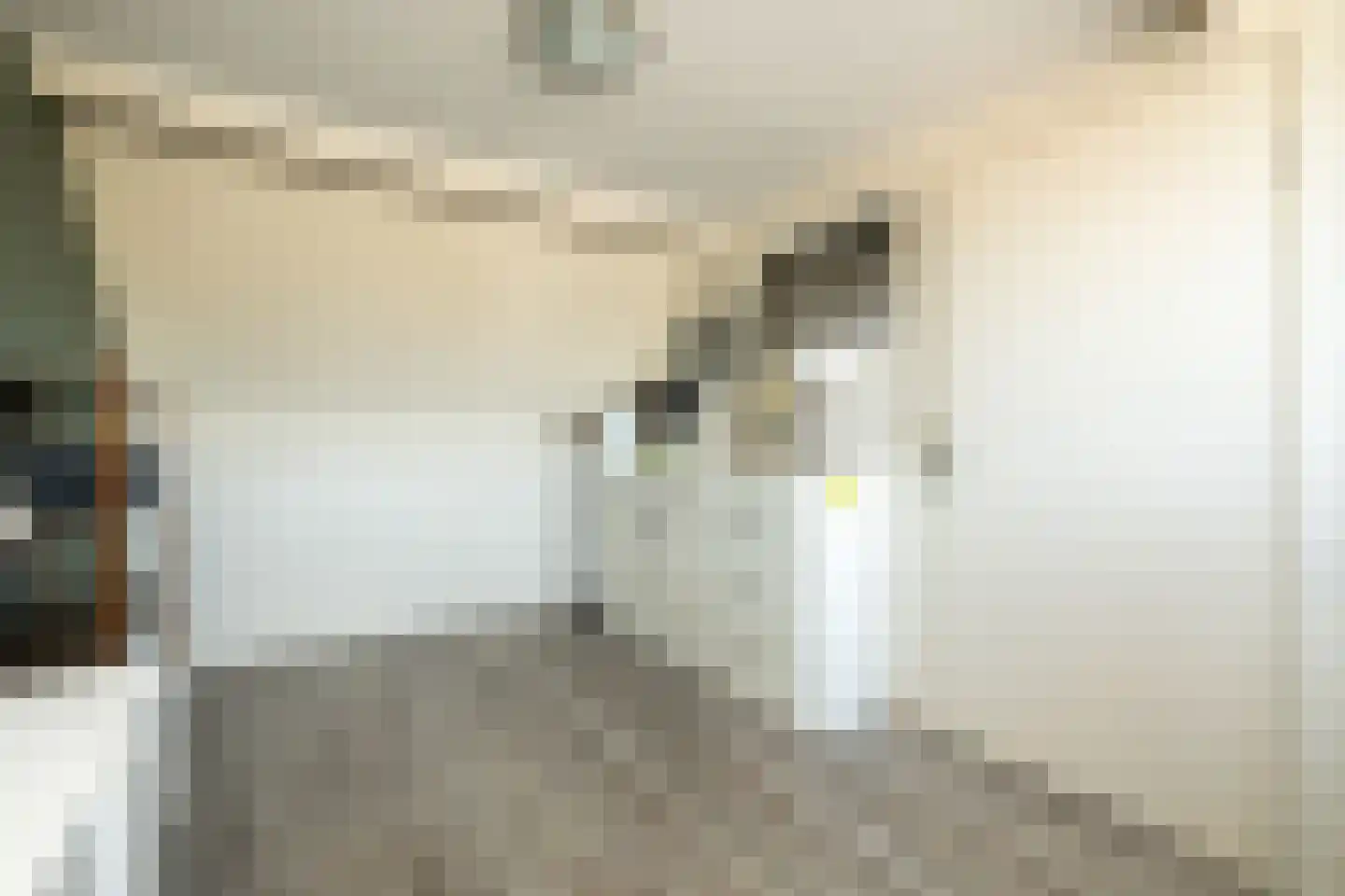 Beelstraat 75 Naaldwijk thumbnail 33