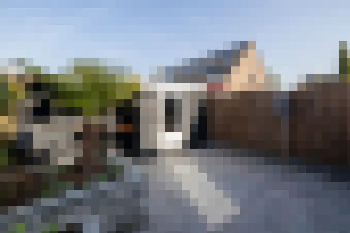 Beelstraat 75 Naaldwijk thumbnail 34