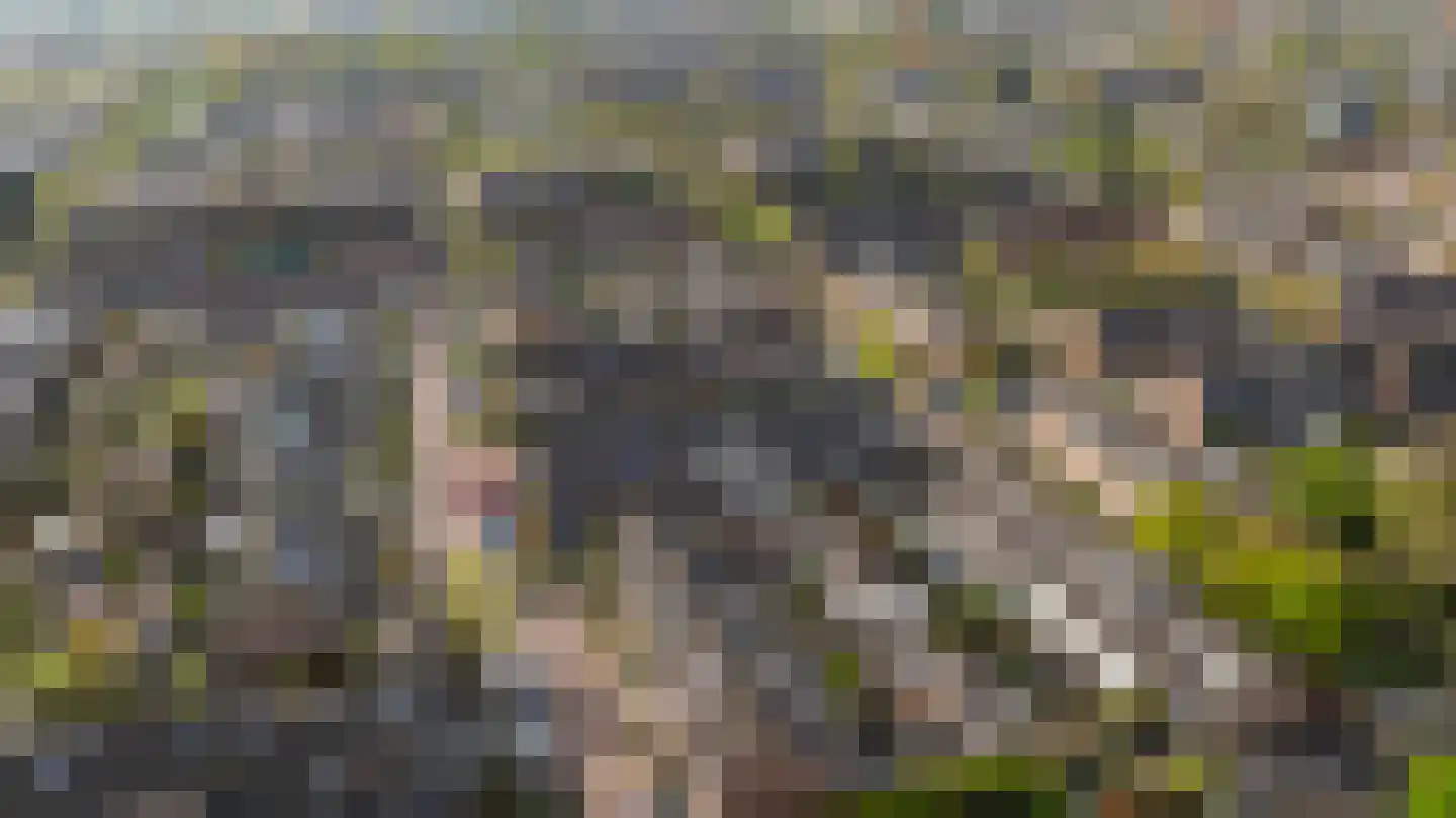 Beelstraat 75 Naaldwijk thumbnail 41